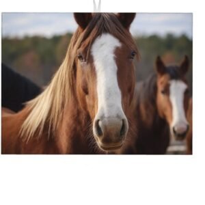 Dish Drying Mat Microfiber Super Absorbent Drying Mat for Kitchen Counter Horses Animals Dish Drying Pad Washable Drainer Mats Countertop Protector Dish Mats for Rack Coffee Maker