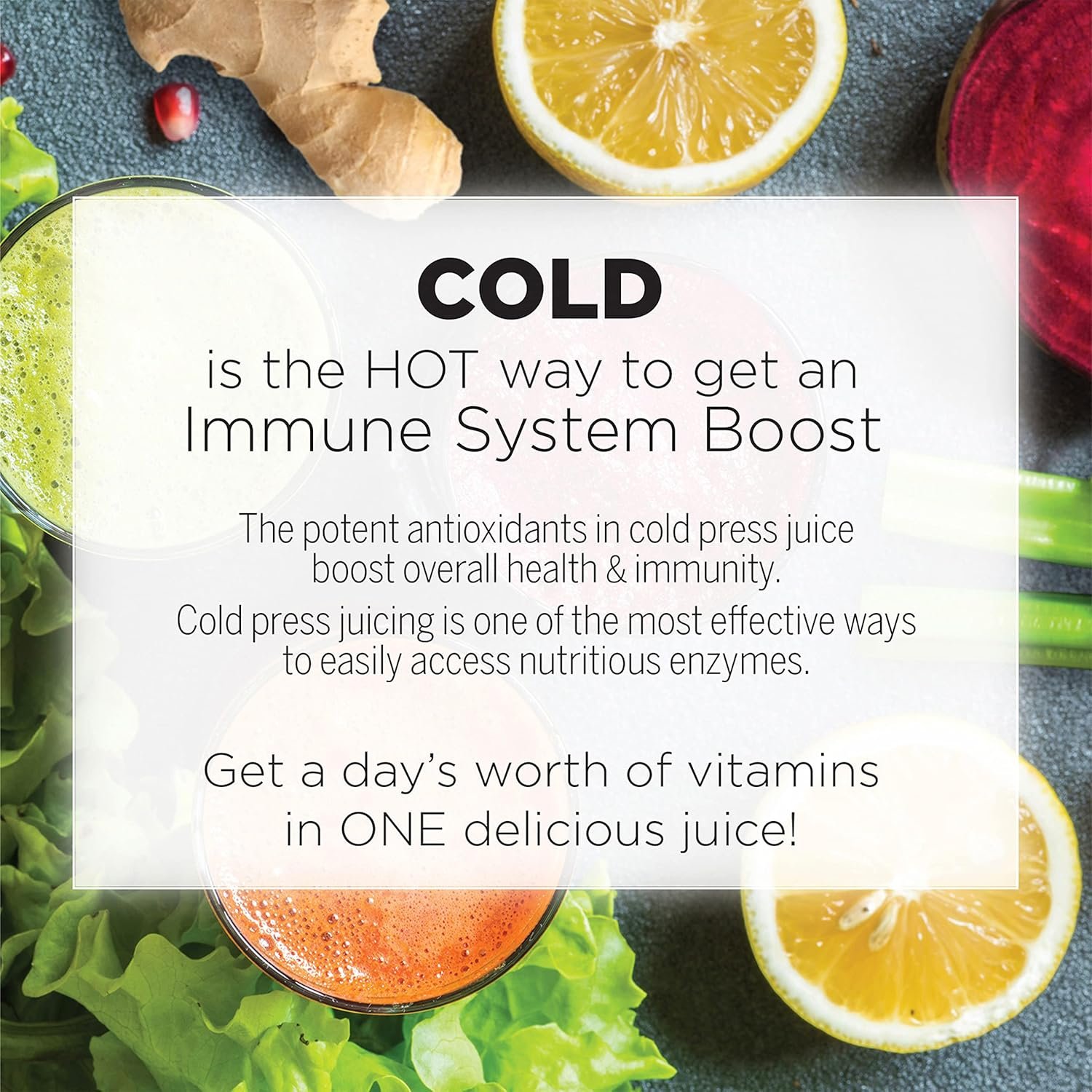 Omega Compact Cold Press Juicer Machine, Vegetable and Fruit Juice Extractor and Nutrition System Makes Nut Milks Baby Food and Sorbets, Triple-Stage 80-RPM Slow Masticating Juicer, 200-Watts, Gray - Image 4